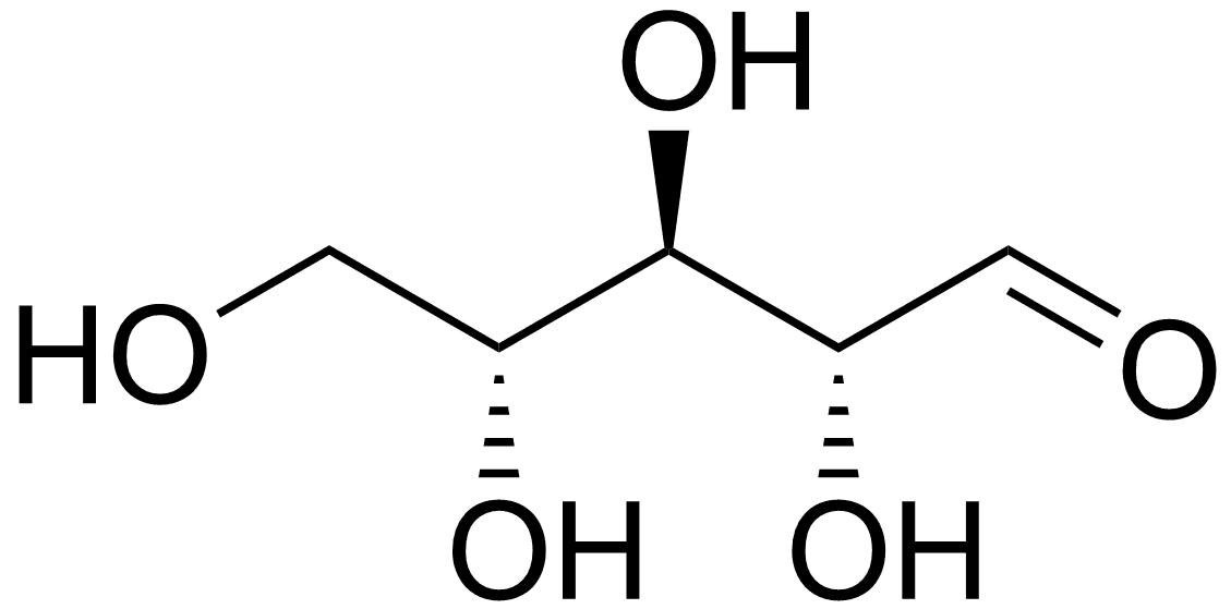 Ribose: Một loại đường thiết yếu cho sức khỏe và hiệu suất