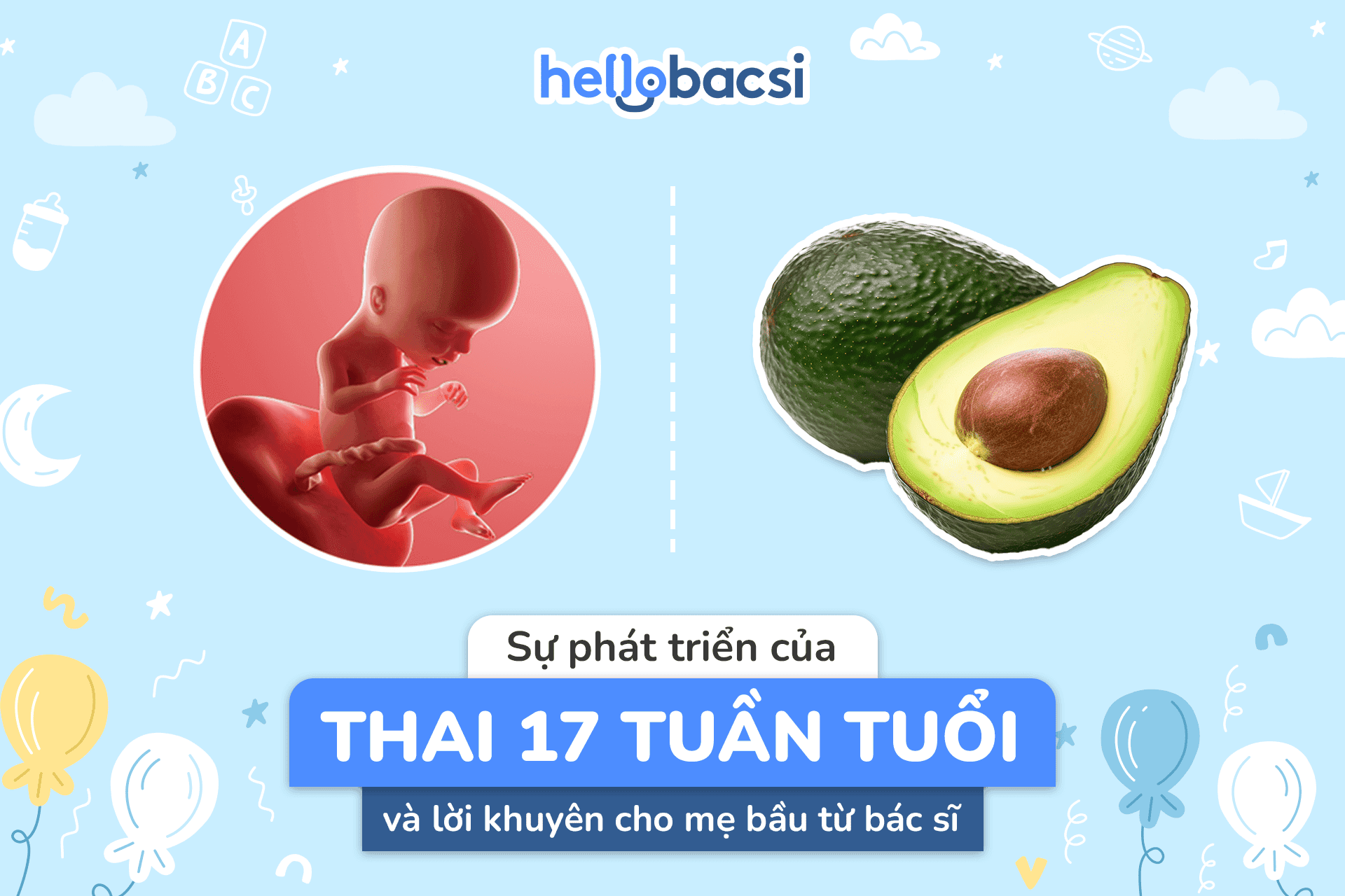 Phát triển thai nhi tuần 17: Sự thay đổi đáng kể của em bé và mẹ bầu