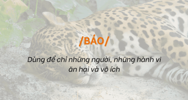 Hiểu rõ "Báo" trên Facebook: Từ ngữ lóng chỉ những hành động vô ích và phiền toái