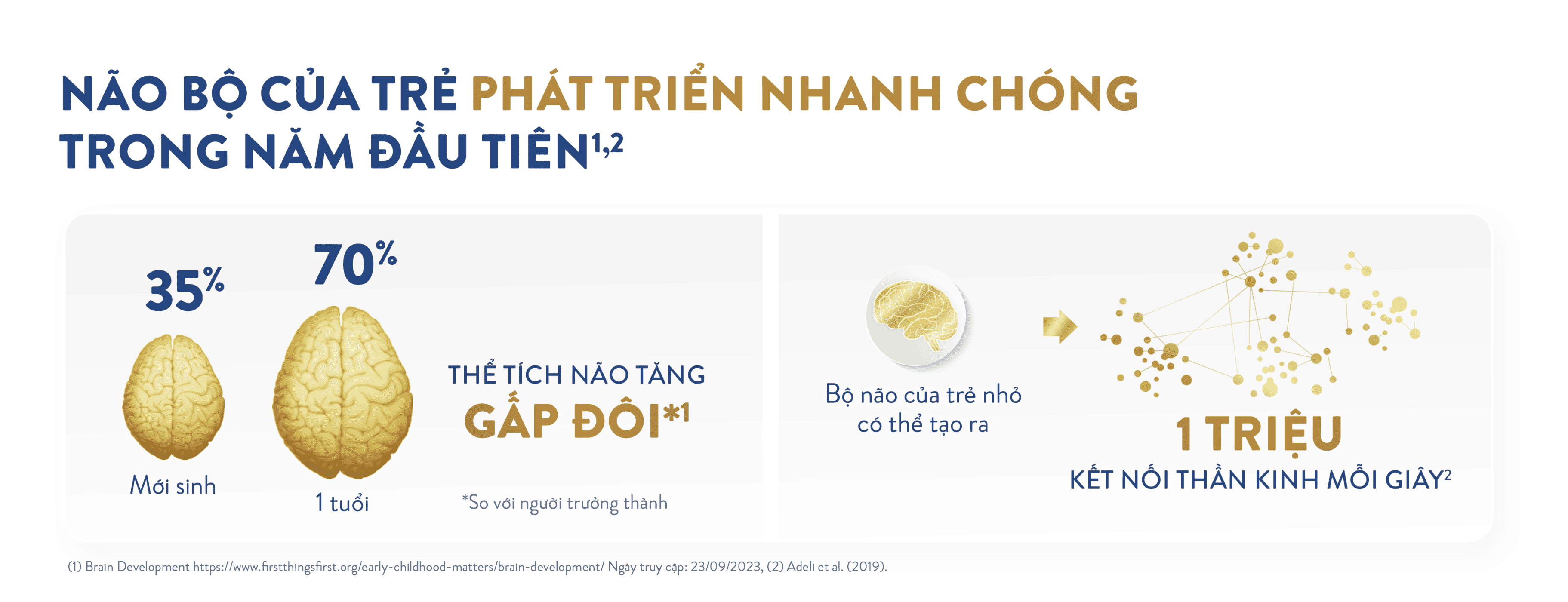 Giai đoạn vàng phát triển trí não ở trẻ: 1000 ngày đầu đời