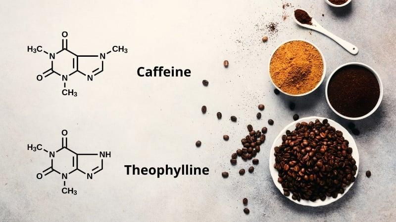 Đo Chức Năng Hô Hấp Tại Nhà: Hướng Dẫn Chi Tiết Cho Người Bệnh