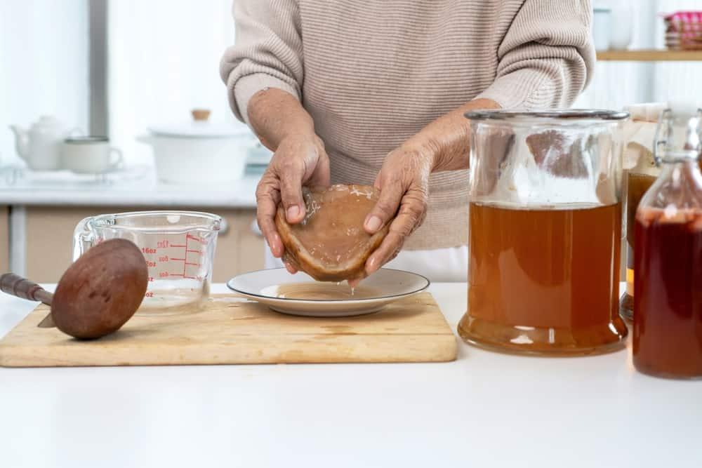 Kombucha: Thức Uống Trà Lên Men Có Lợi Cho Sức Khỏe