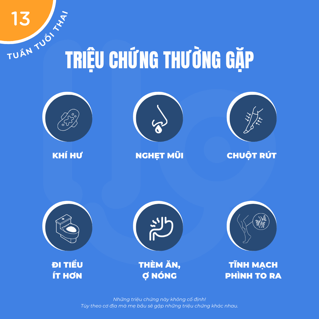 Thai Kỳ Tuần 13: Phát Triển Của Thai Nhi Và Những Điều Mẹ Bầu Cần Lưu Ý